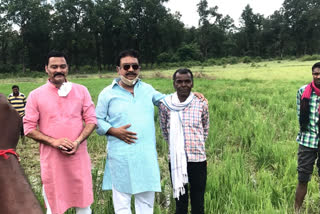 Forest minister arrives in Bandhavgarh to inspect crops destroyed by elephant terror