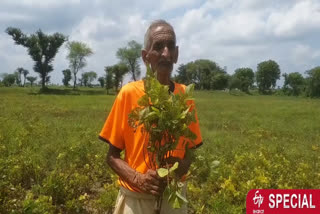 The excess rain caused water on the hard work of the farmers