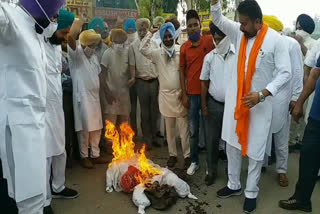 AAP leaders burn effigy of Sadhu Singh Dharamsot in protest