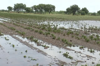 50 teams were formed to survey crop damage