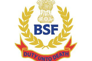 BSF