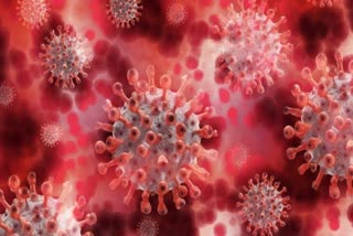 Chandigarh corona virus update