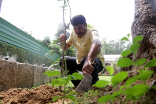 bjp leader manoj thivari took green india challenge in delhi