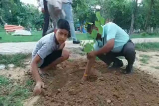 1200 plants planted under plantation campaign in rewari