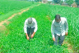 farmer assistance scheme