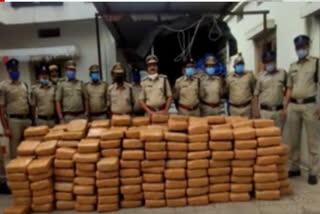 illegal transportation of dried marijuana seized at daulatabad in sangareddy district