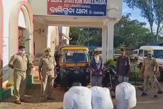 ganja seized in kandhamal