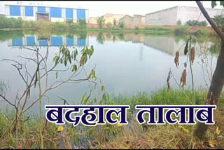 Alipur pond