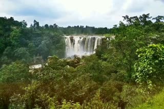 Amritdhara water fall