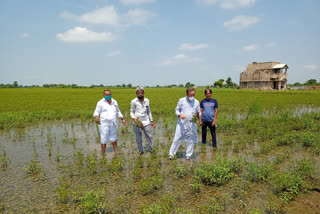 અર્જુન મોઢવાડિયા