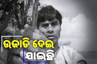 ବନ୍ୟା ଛାଡିଯିବା ପରେ ବି କମୁନି ଦୁର୍ଦଶା: ଉଜୁଡି ଯାଇଛି ଚାଷ, ହତାଶ ଚାଷୀ