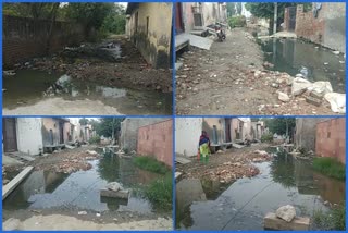 People facing drainage water problem in Narela assembly of Delhi