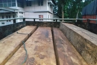 wood seized at golaghat