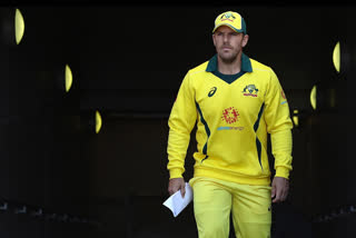 aaron finch