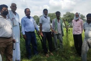 Agricultural scientist team inspects crops in villages of Niwari