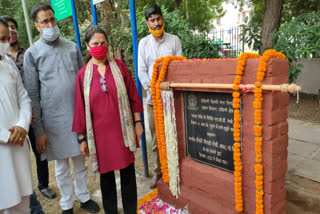 MP minakshi lekhi done tree plantation