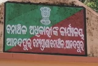 wood seized in keonjhar