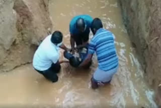 young boy fall Water lame in siddipeta district