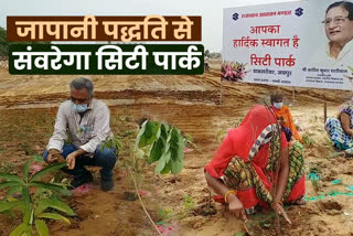 City Park of Jaipur,  City Park being decorated by Miyawaki system