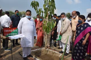 education and forest minister kanwarpal gurjar did plantation in bhiwani