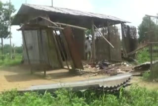 elephant demolished house at Golaghat