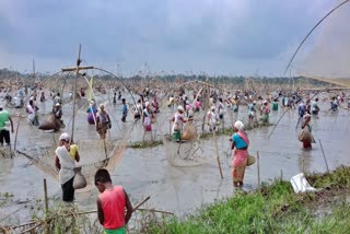 fishing at Gariya Bil in darrang assam etv bharat news