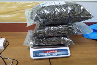 three-kilograms-of-marijuana-seized-in-kannur-international-airport-one-arrested