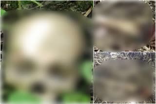 Human skeleton found in Garhwa, skeleton found in Garhwa, crime news of garhwa, गढ़वा में पहाड़ पर मिला मानव कंकाल, गढ़वा में मिला मानव कंकाल, गढ़वा में अपराध की खबरें