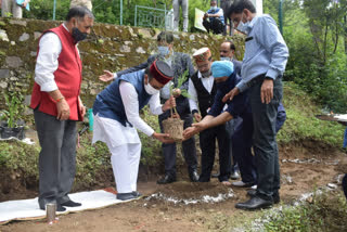 medicinal plantation program