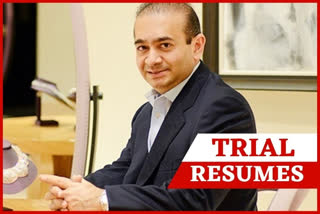 Nirav Modi