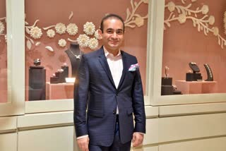 Nirav Modi