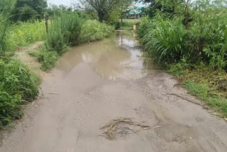 Garli-Darkot road is in bad condition