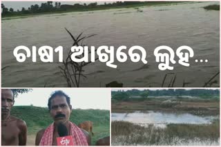 Jagatsinghpur Farmers worried about losing their livelihoods after floods