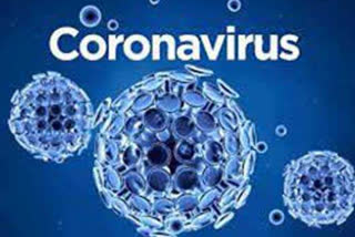 persons tested coronavirus positive