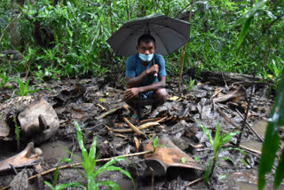 Elephant poacher arrested at Chirang by Forest department