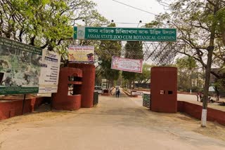 Privatization of Assam state Zoo is false: Tejash Maheshwari