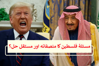 saudi arabia eager to achieve fair solution to palestinian issue king salman tells trump