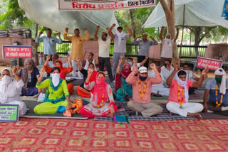 sacked pti teacher protest in bhiwani