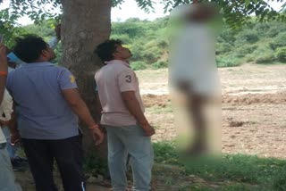 old man body found hanging from tree in rajakhera,  Old man Suspicious death in dholpur