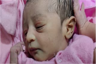 Newborn found in Alwar, अलवर में नवजात मिला