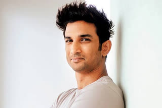 sushant singh rajput (file photo)