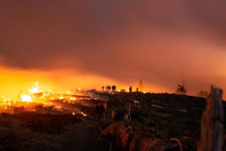 california governor declares a state of emergency in fresno, madera, mariposa, san bernardino and san diego