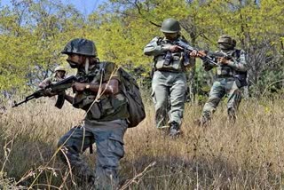 two Maoists killed in encounter on Telangana-Chhattisgarh border