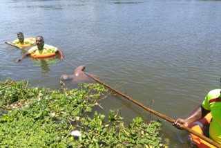 nellai_fire team_rescue body_from river