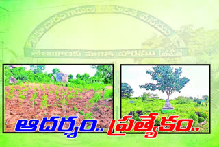 HARITHA HARAM PARKS DEVELOPMENT IN KONAIEPALLY VILLAGE AT MEDAK DIST