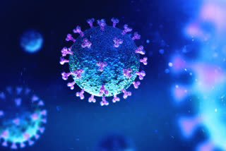 Egypt's COVID-19 case count surpasses 100,000  coronavirus  covid-19  Egypt's COVID-19 case  Khaled Mugahed  ഈജിപ്തില്‍ ഒരു ലക്ഷം കവിഞ്ഞ് കൊവിഡ് ബാധിതര്‍  കൊവിഡ്19  കൊറോണ