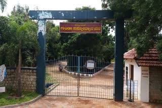Gunda Botanical Garden felt empty after corona lockdown