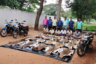 Karnataka forest squad busts gang of poachers