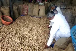 Farmers are getting potato seeds at expensive prices in una