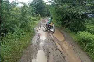 no road in Hathidgad village of Padalia Municipal Council of Khargone